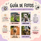 Playera Personalizada con Retrato Efecto Bordado | 1 a 5 Perros
