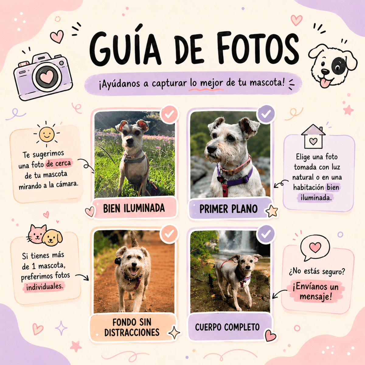 Playera Personalizada con Foto de tu Perro | 9 Estilos | LOKA