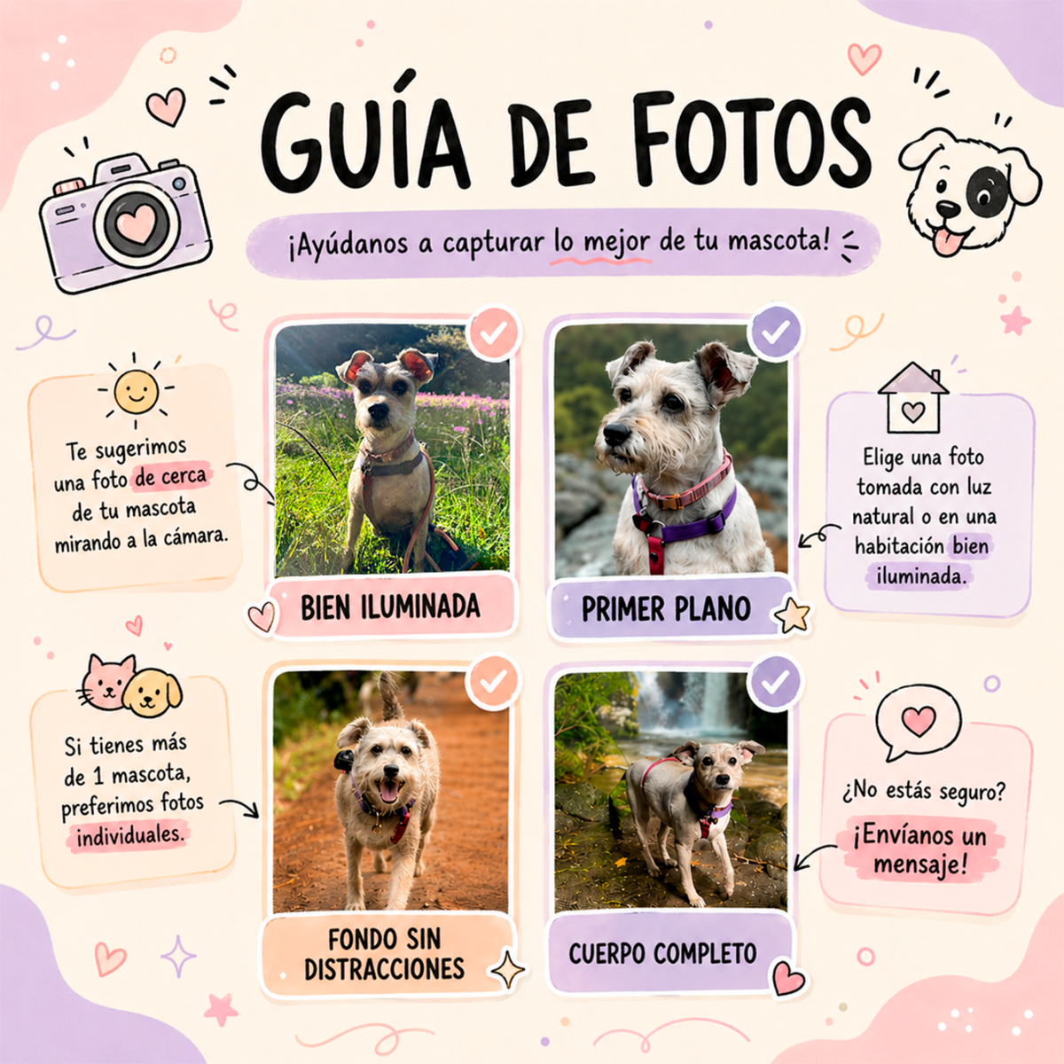 Playera Personalizada con Foto de tu Perro y Nombre | 100% Algodón | LOKA