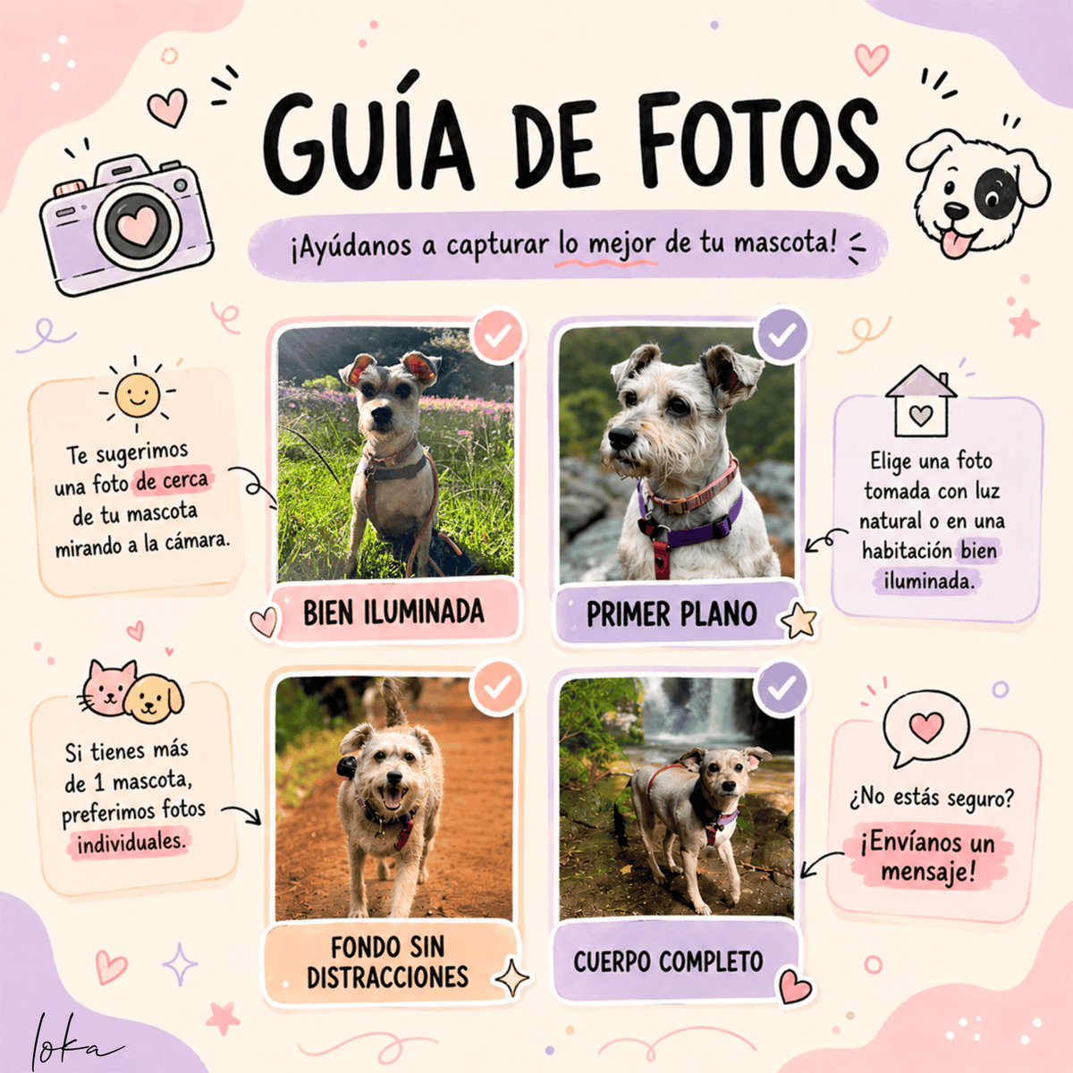 Tote Personalizada con Tu Mascota — Elige Tu Estilo
